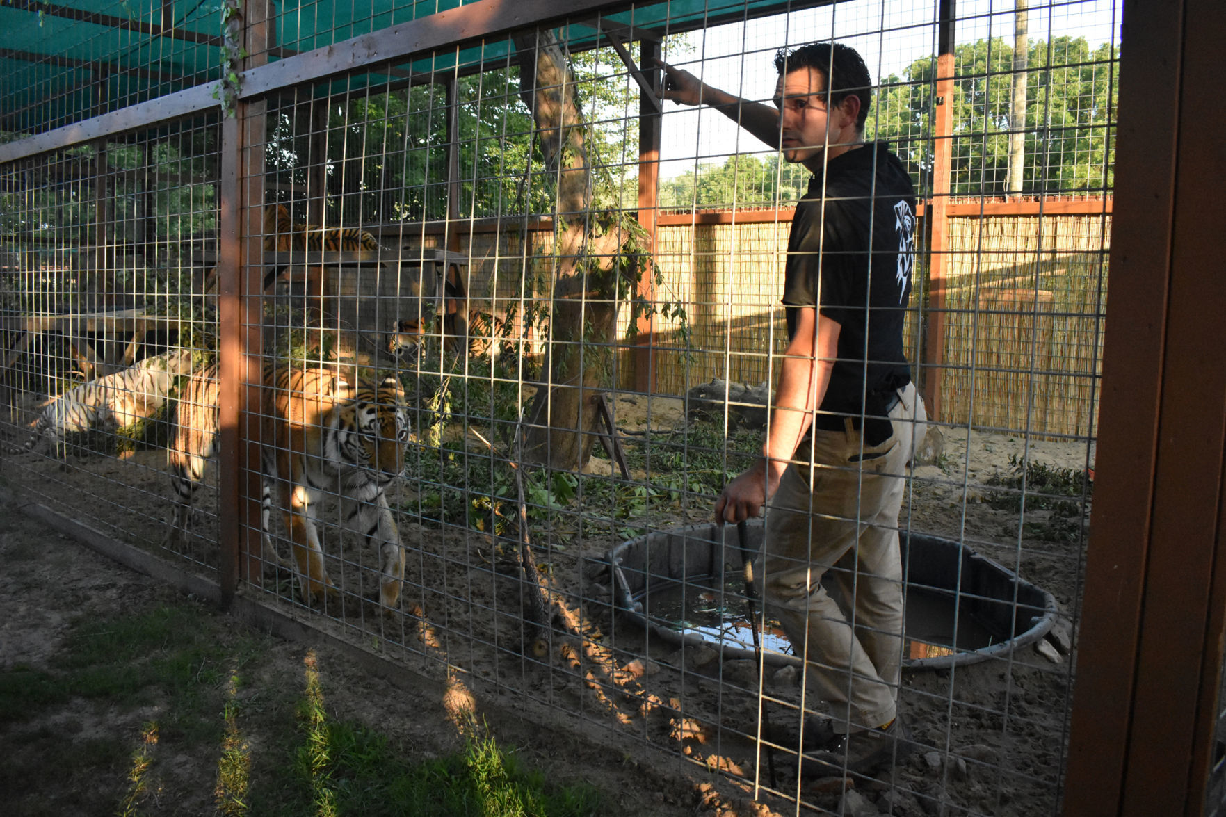 Ryan inside the enclosure